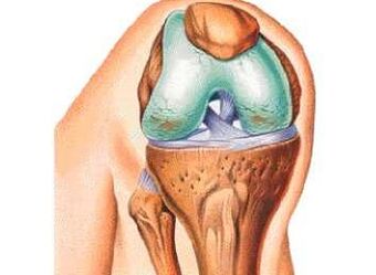 The main reasons for knee joints